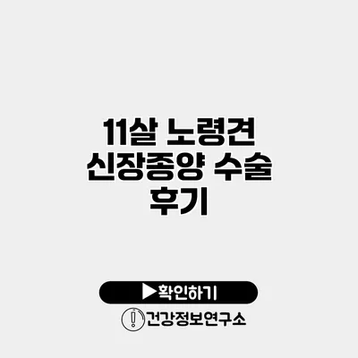 11살 노령견 신장종양 수술 후기