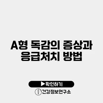 A형 독감의 증상과 응급처치 방법