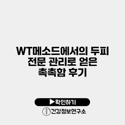 WT메소드에서의 두피 전문 관리로 얻은 촉촉함 후기