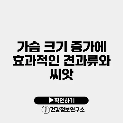 가슴 크기 증가에 효과적인 견과류와 씨앗