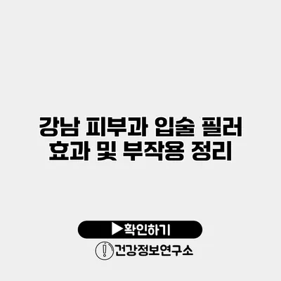 강남 피부과 입술 필러 효과 및 부작용 정리