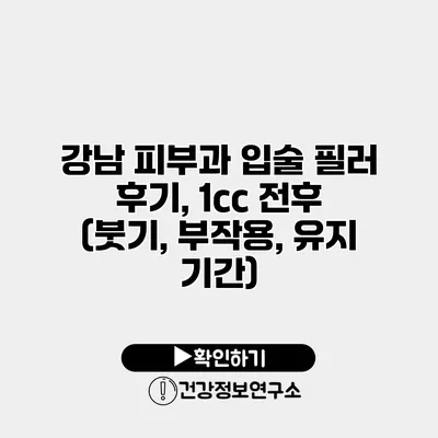 강남 피부과 입술 필러 후기, 1cc 전후 (붓기, 부작용, 유지 기간)