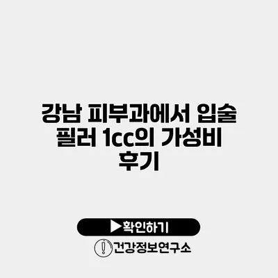 강남 피부과에서 입술 필러 1cc의 가성비 후기