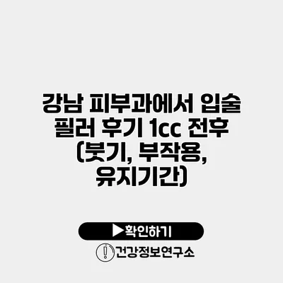 강남 피부과에서 입술 필러 후기 1cc 전후 (붓기, 부작용, 유지기간)