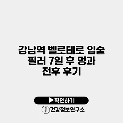 강남역 벨로테로 입술 필러 7일 후 멍과 전후 후기