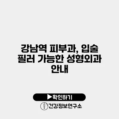 강남역 피부과, 입술 필러 가능한 성형외과 안내