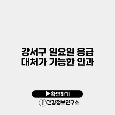 강서구 일요일 응급 대처가 가능한 안과