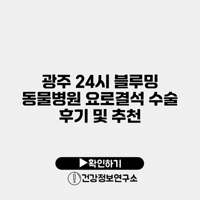 광주 24시 블루밍 동물병원 요로결석 수술 후기 및 추천