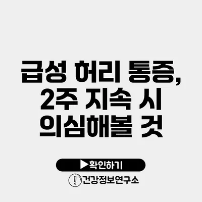 급성 허리 통증, 2주 지속 시 의심해볼 것