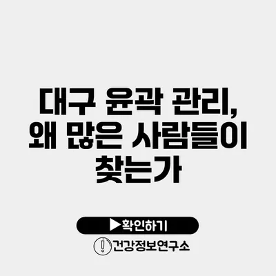 대구 윤곽 관리, 왜 많은 사람들이 찾는가?