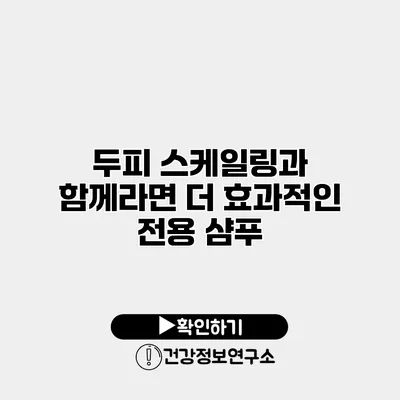 두피 스케일링과 함께라면 더 효과적인 전용 샴푸