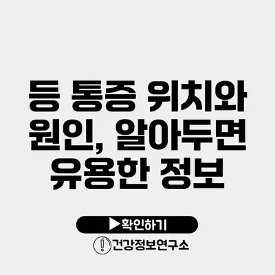 등 통증 위치와 원인, 알아두면 유용한 정보