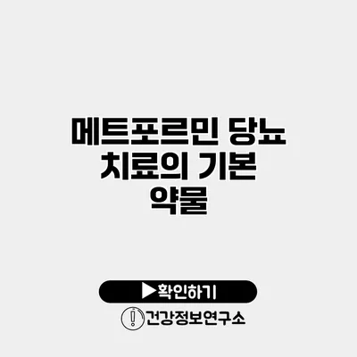 메트포르민 당뇨 치료의 기본 약물