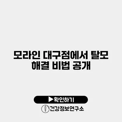 모라인 대구점에서 탈모 해결 비법 공개