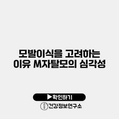 모발이식을 고려하는 이유 M자탈모의 심각성