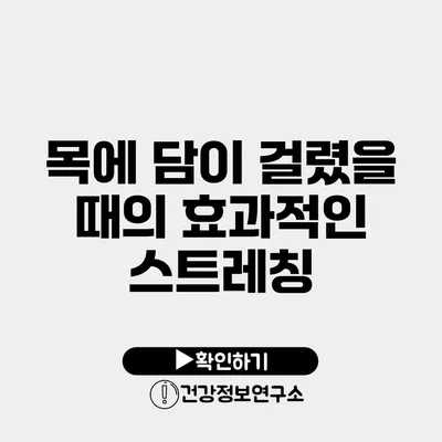 목에 담이 걸렸을 때의 효과적인 스트레칭