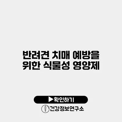 반려견 치매 예방을 위한 식물성 영양제