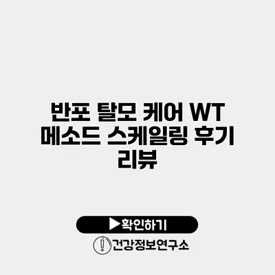 반포 탈모 케어 WT 메소드 스케일링 후기 리뷰