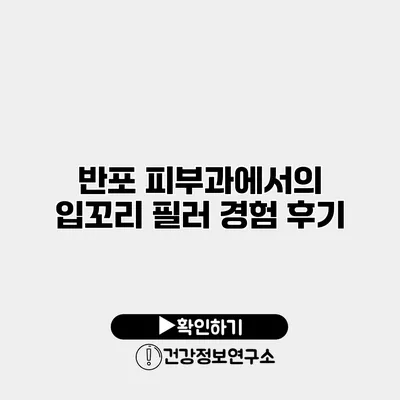 반포 피부과에서의 입꼬리 필러 경험 후기