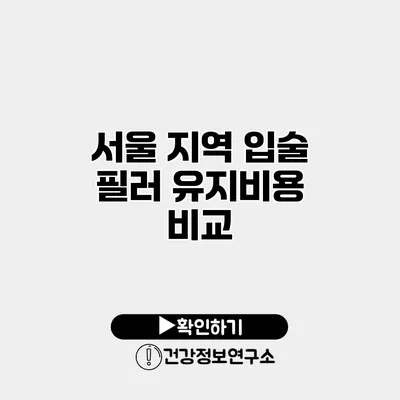 서울 지역 입술 필러 유지비용 비교
