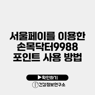 서울페이를 이용한 손목닥터9988 포인트 사용 방법