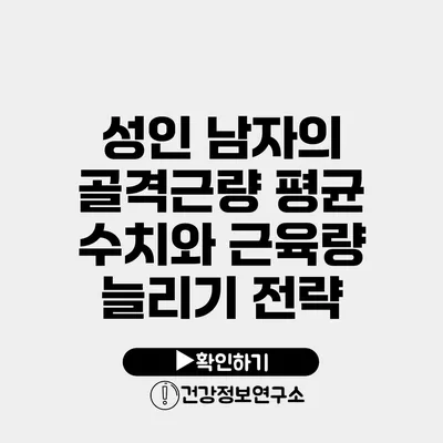 성인 남자의 골격근량 평균 수치와 근육량 늘리기 전략