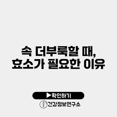 속 더부룩할 때, 효소가 필요한 이유