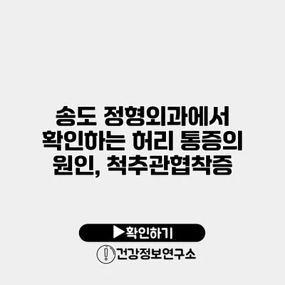 송도 정형외과에서 확인하는 허리 통증의 원인, 척추관협착증