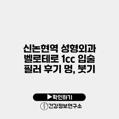 신논현역 성형외과 벨로테로 1cc 입술 필러 후기 멍, 붓기