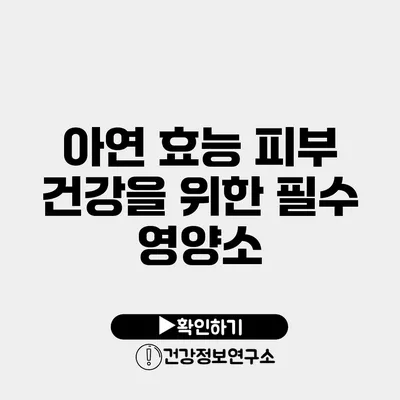 아연 효능 피부 건강을 위한 필수 영양소