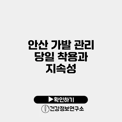 안산 가발 관리 당일 착용과 지속성