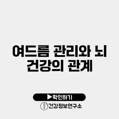 여드름 관리와 뇌 건강의 관계