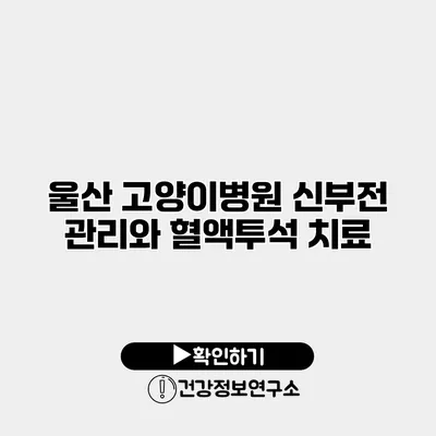 울산 고양이병원 신부전 관리와 혈액투석 치료
