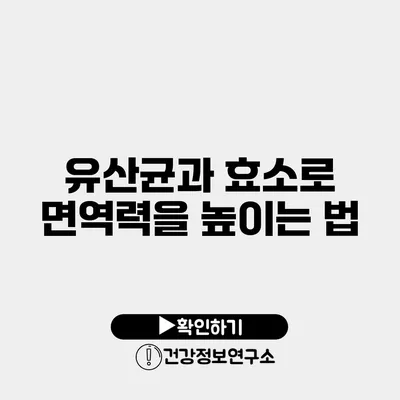 유산균과 효소로 면역력을 높이는 법