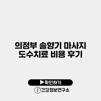 의정부 솔향기 마사지 도수치료 비용 후기