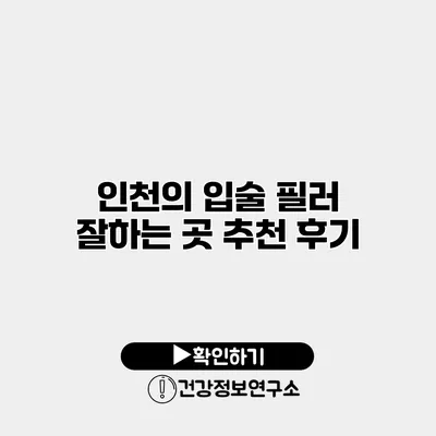 인천의 입술 필러 잘하는 곳 추천 후기