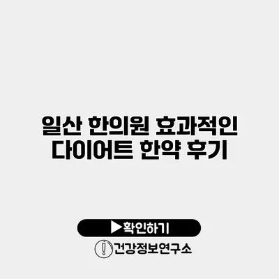 일산 한의원 효과적인 다이어트 한약 후기