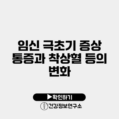 임신 극초기 증상 통증과 착상혈 등의 변화