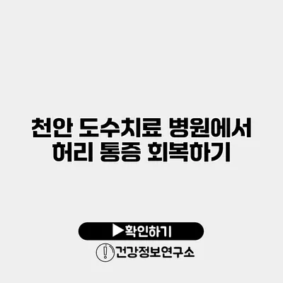 천안 도수치료 병원에서 허리 통증 회복하기