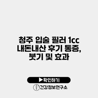 청주 입술 필러 1cc 내돈내산 후기 통증, 붓기 및 효과