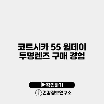 코르시카 55 원데이 투명렌즈 구매 경험