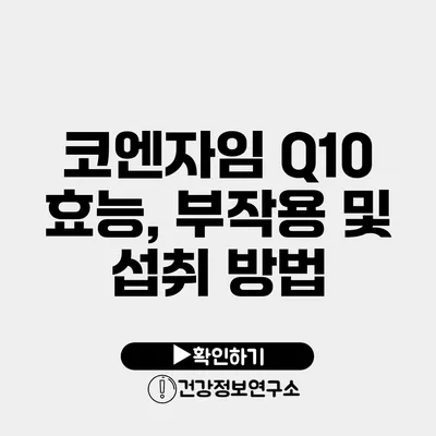 코엔자임 Q10 효능, 부작용 및 섭취 방법