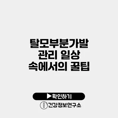 탈모부분가발 관리 일상 속에서의 꿀팁
