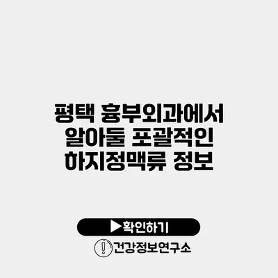 평택 흉부외과에서 알아둘 포괄적인 하지정맥류 정보