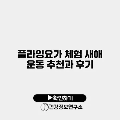 플라잉요가 체험 새해 운동 추천과 후기