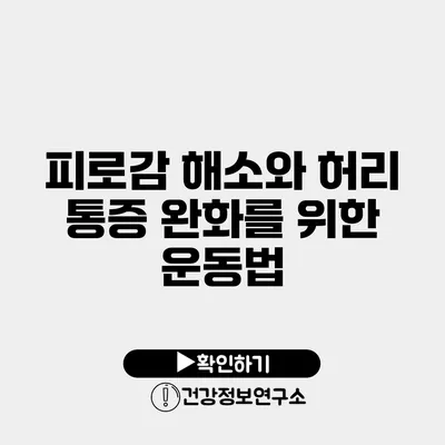 피로감 해소와 허리 통증 완화를 위한 운동법