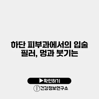 하단 피부과에서의 입술 필러, 멍과 붓기는?