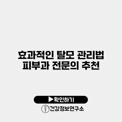 효과적인 탈모 관리법 피부과 전문의 추천