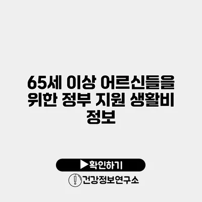 65세 이상 어르신들을 위한 정부 지원 생활비 정보