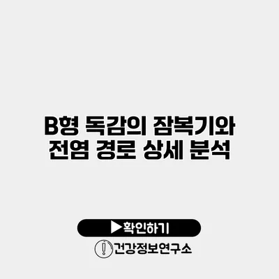 B형 독감의 잠복기와 전염 경로 상세 분석
